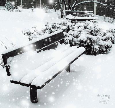 「诗词鉴赏」倾城一夜雪万物皆覆白