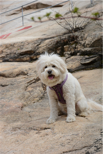 活动回顾｜欧帝亿主题巴士回顾--畅游幽谷神潭