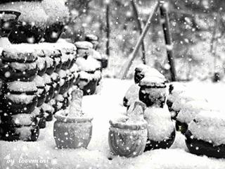 「诗词鉴赏」倾城一夜雪万物皆覆白