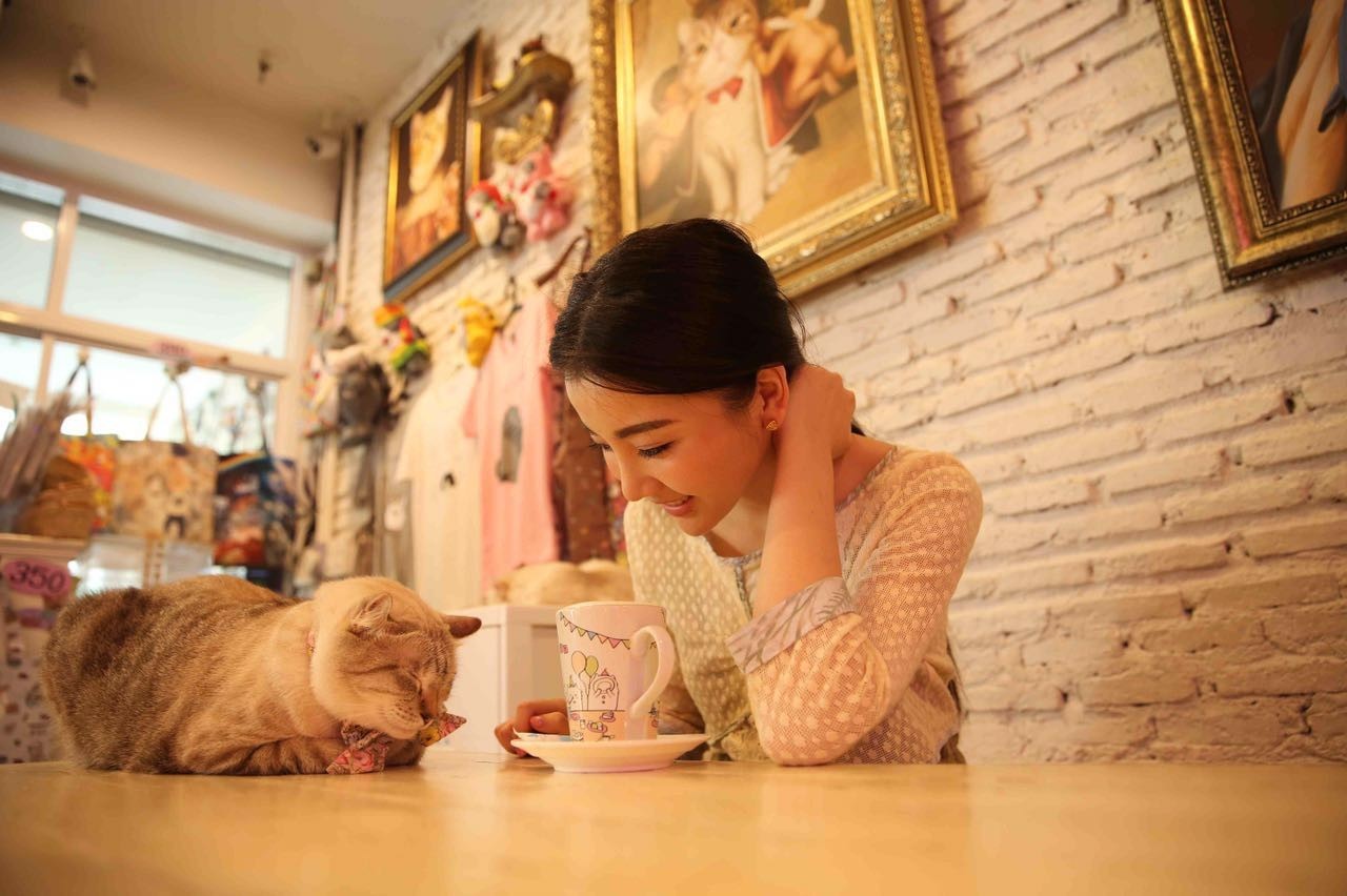 丁婷婷在曼谷的地位,泰国硕士留学真实感受