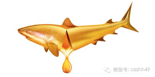 健身人群为什么要补充鱼油,健身对鱼油的需要有多少