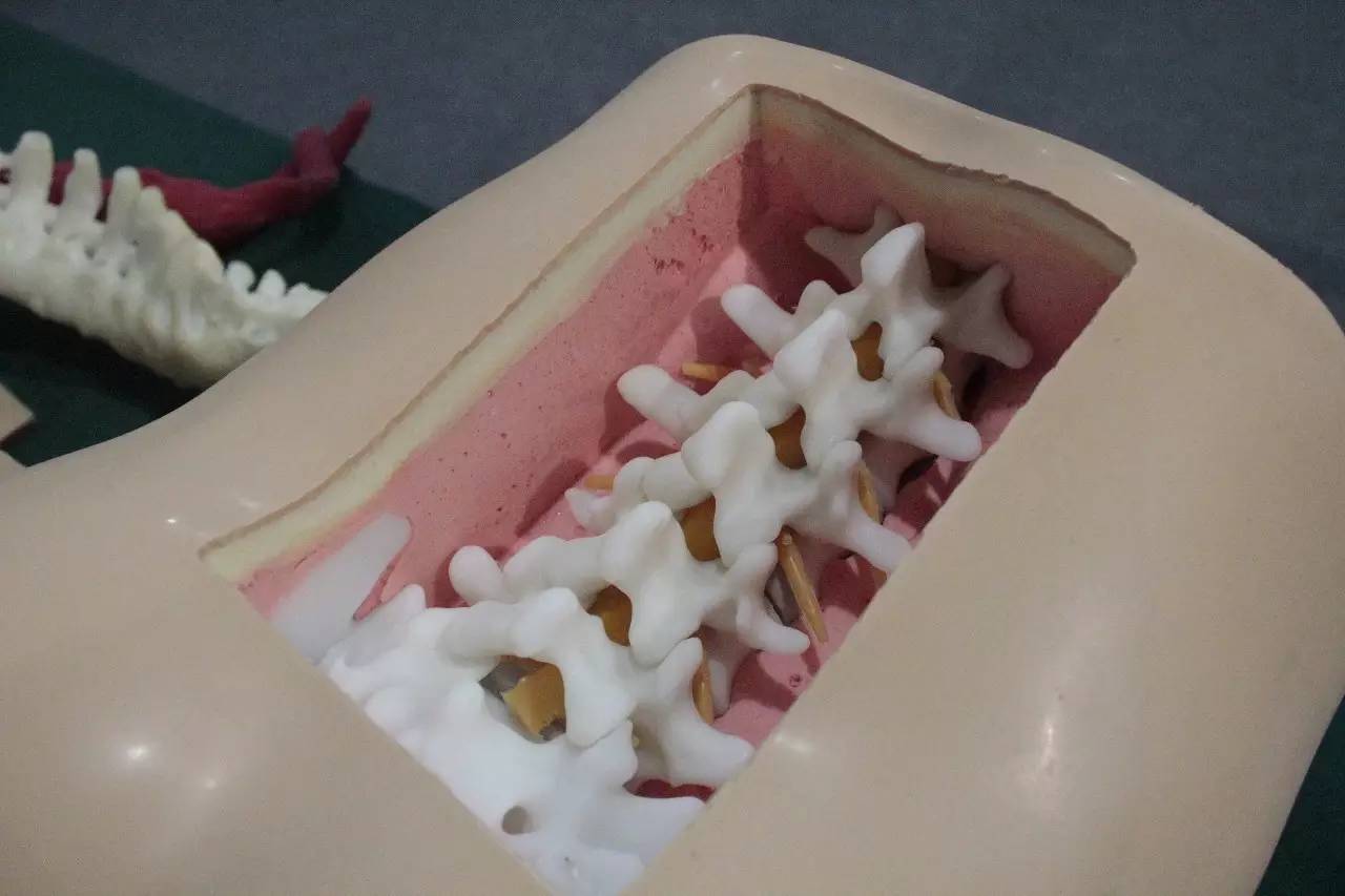 国际3d打印展2017,中国国际3d打印技术展览会