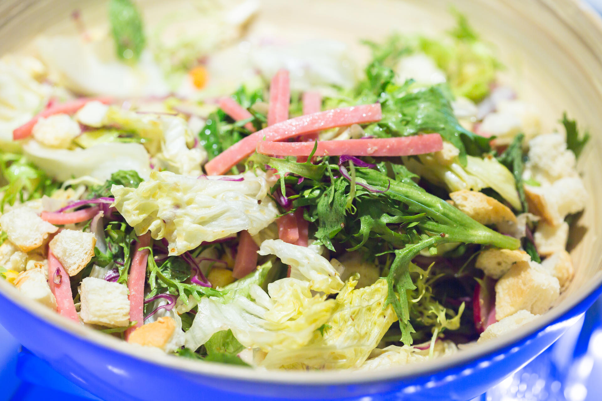 「FLORASTEAK丽斯百合」永远是银河乐天里的热门