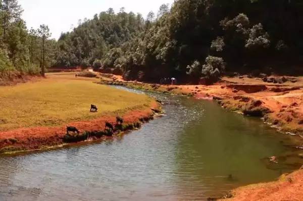 最近昆明哪里风景比较好,昆明周边的绝世美景