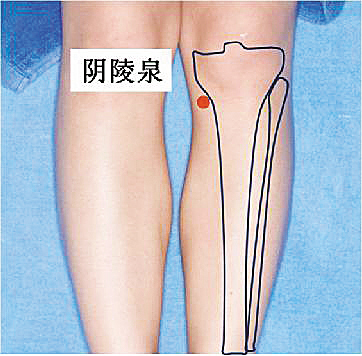 去黑头是按摩哪个穴位,中医去黑头揉的穴位