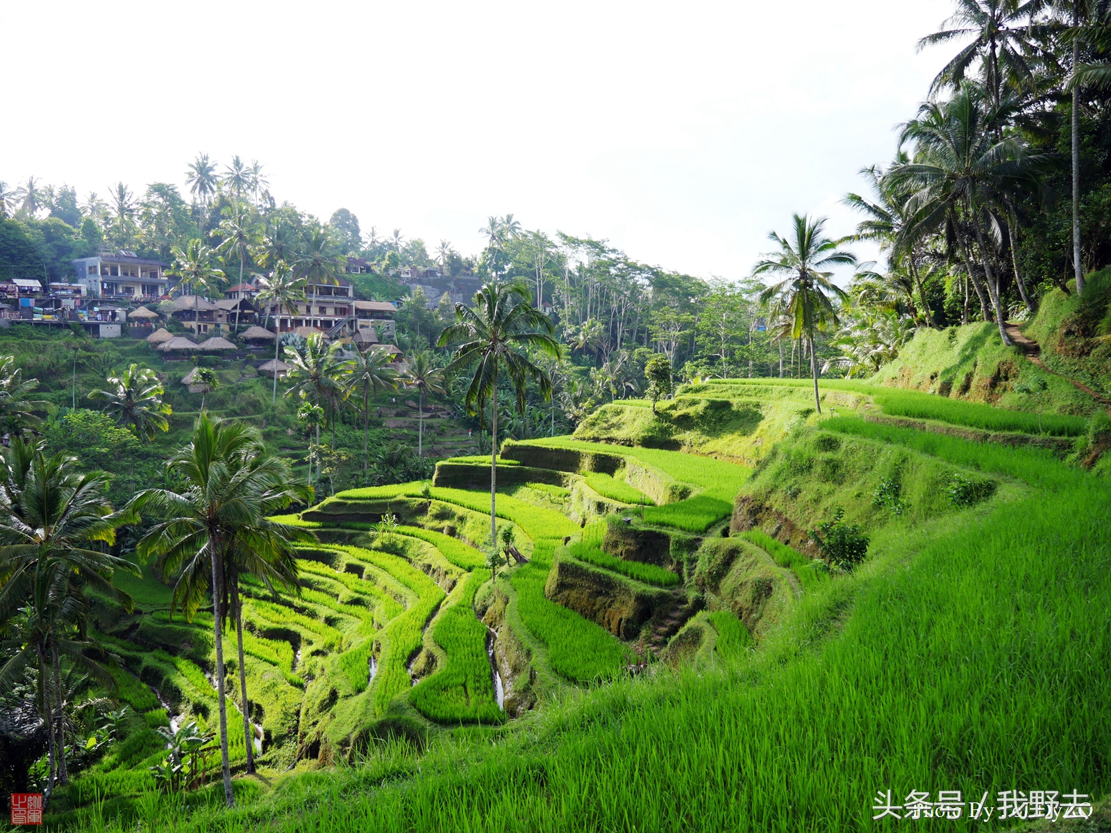六千元玩泰国,巴厘岛一日游免费攻略