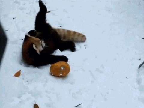 360手机n4s什么价格,360手机n4优缺点