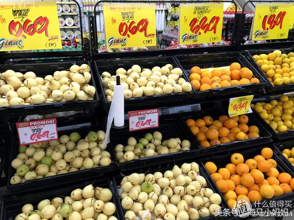 仙本那考潜水证日程,去仙本那潜水要考什么证