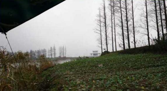 钓鱼人太牛！大风大雨中垂钓也能迎来鲤鲫大丰收