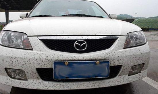 镀晶前要抛光吗,镀晶前要不要打蜡