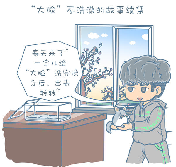 龙猫不洗澡光泡沙子,龙猫不滚沙怎么办