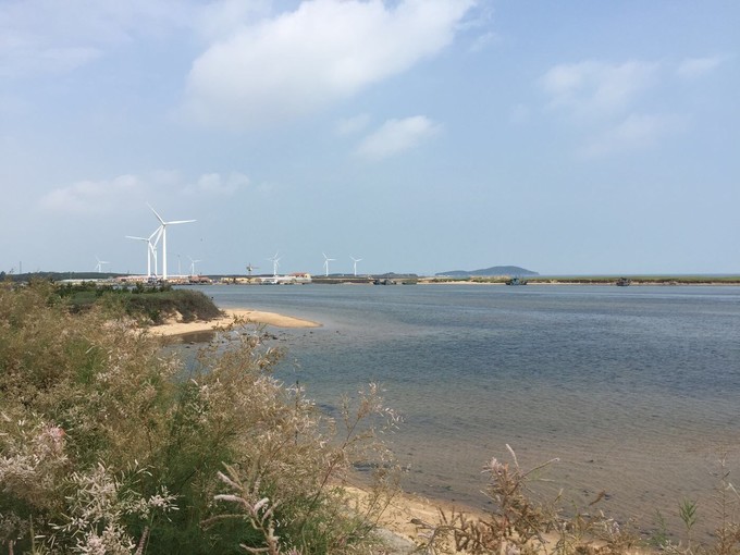 那年夏天那片海图片,那年夏天那片海