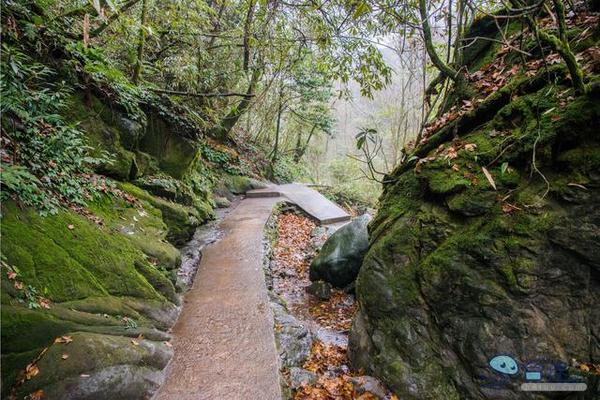 戏猴、爬山、观瀑布，那就跟我去卧龙谷！