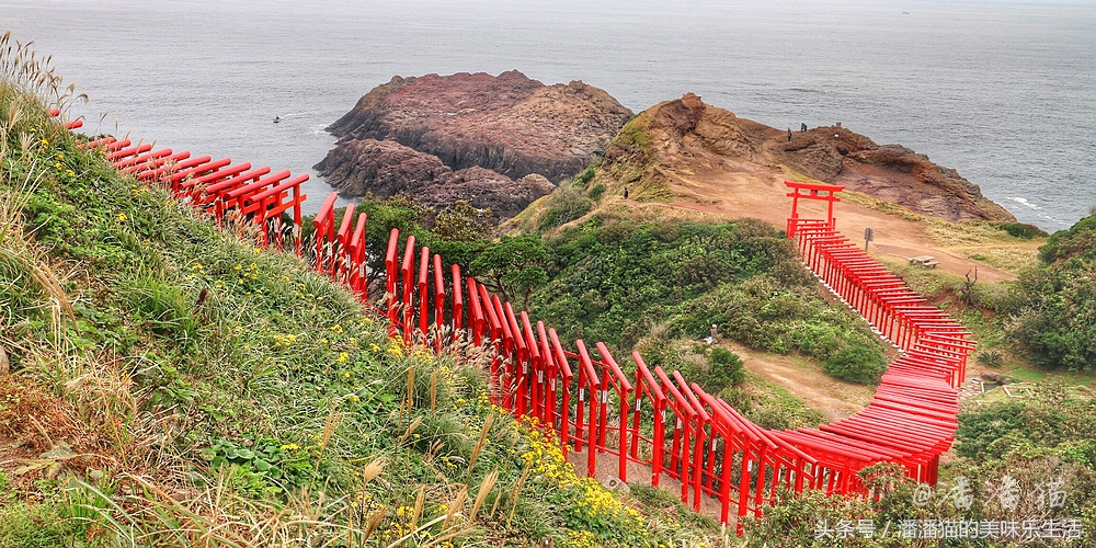 山阴山阳地区五县旅行线路指南