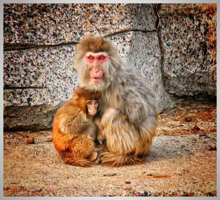 德州记者摄影师,德州专业摄影师