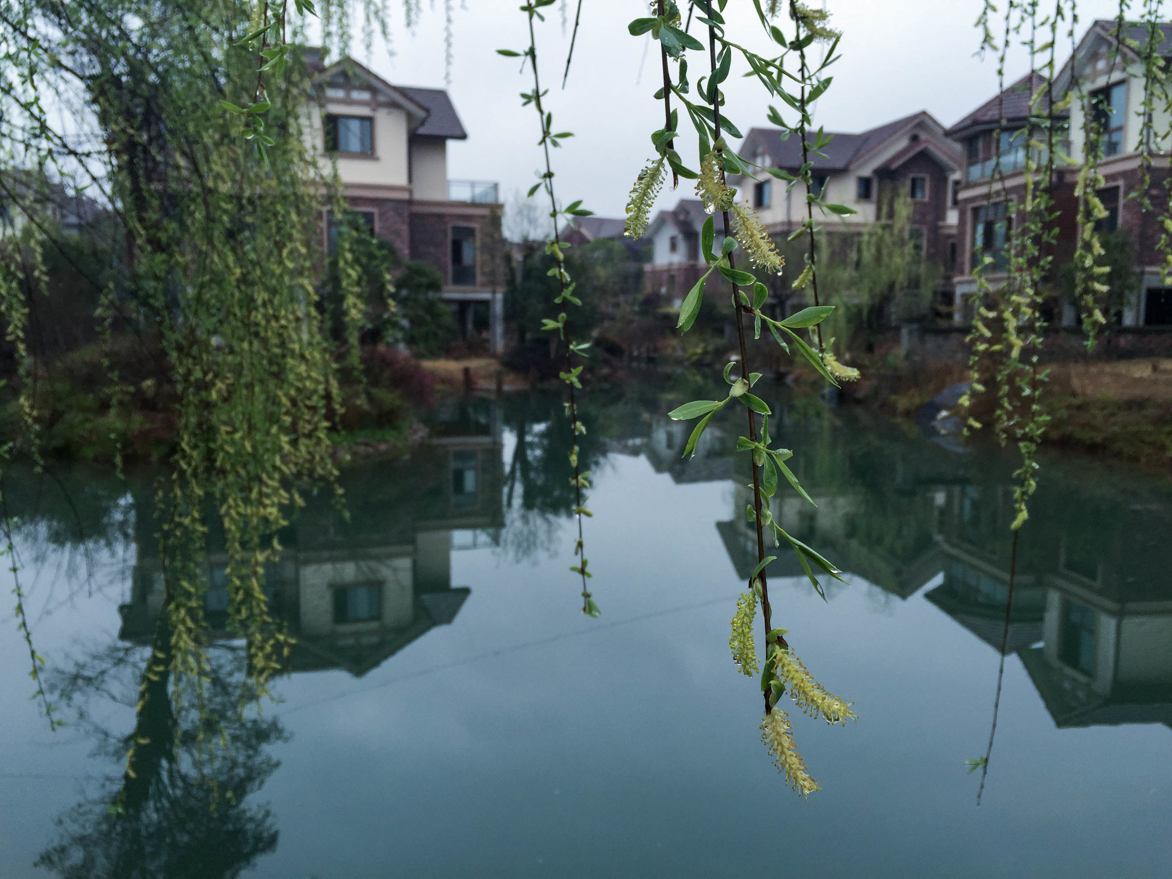 武夷山山水美如人间仙境,武夷山真的有那么漂亮吗