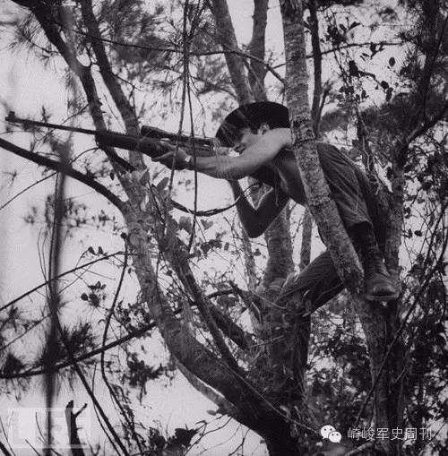 飞蛾事件,飞蛾扑火事情