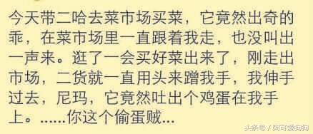 哈士奇长的可爱,你家哈士奇真的不会自卑吗