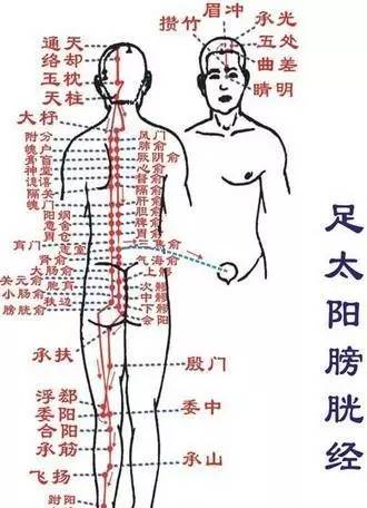 养肾健康第一重要,养肾三大秘法