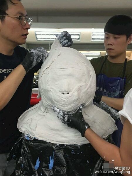 明星倒模是什么,明星做倒模