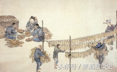 烟什么时候传入中国,草烟是什么玩意