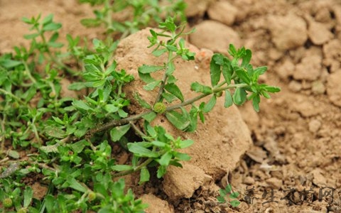 低温来袭，你的鼻子还好吗？照着做，对TA好点儿