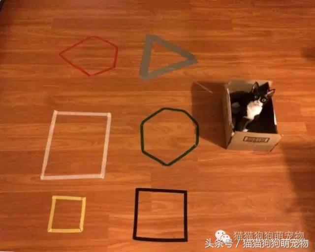 教你如何抓住小偷,教你如何抓住快速上涨的股票