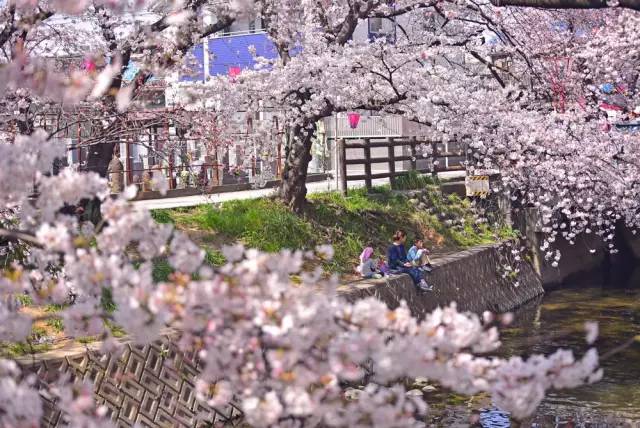 全日空正常飞日本票价,全日空和日本航空
