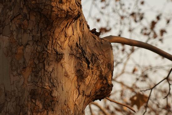 触控+5轴防抖全能快拍手索尼A6500评测