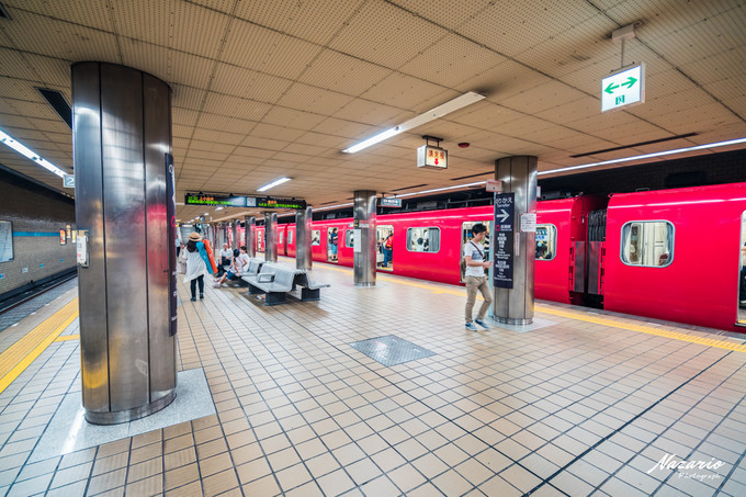 粉红猪小妹与小猪佩奇,粉红猪小妹的快乐生活