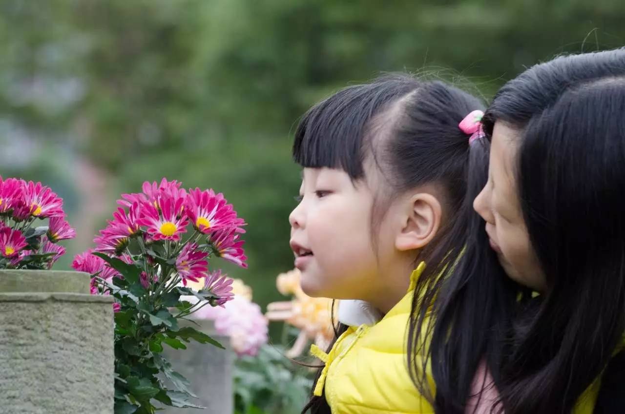 青白江，一个幸福感爆棚的城市，因为我们这样生活……