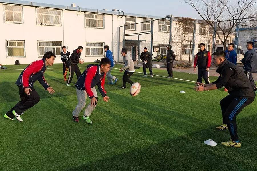 中国国家男子橄榄球队张志强,橄榄球张志强