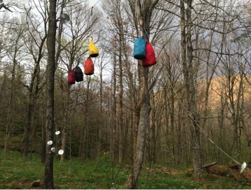 野外棕熊来袭,野外遇到棕熊袭击怎么办