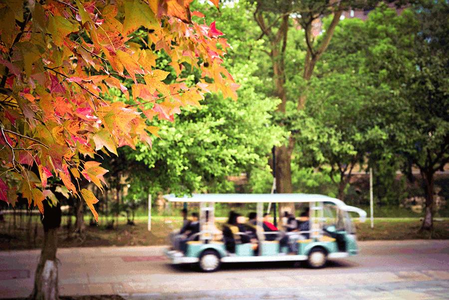 这几天千万不要来北师珠！