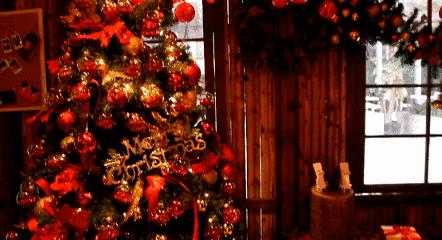 单身狗也要过精致的情人节,单身狗也要过520吗