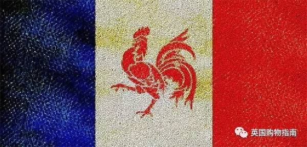 生肖图案设计鸡,生肖设计图案