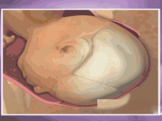 生孩子之前做什么动画演示,动画演示生孩子的各个阶段