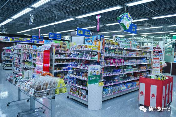 樱花旅行记全集视频,樱花季日本14天旅游攻略