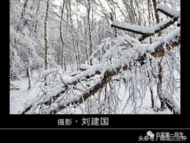 岚县野鸡山位于哪里,山西吕梁山雪景图片