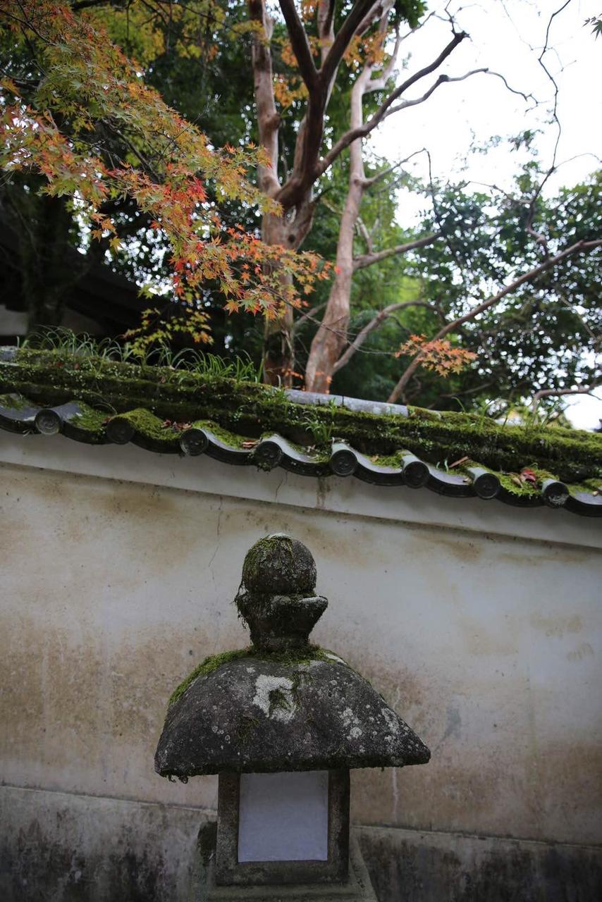 关西温泉六日游,大阪关西机场温泉