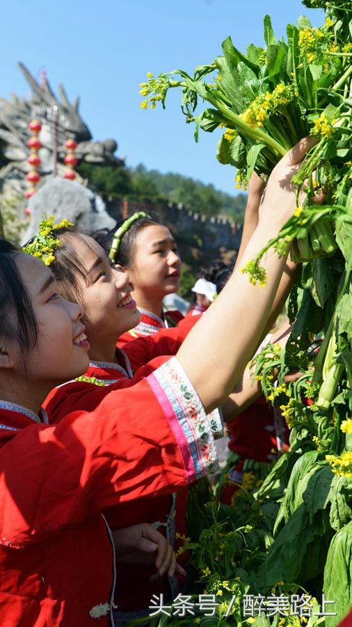 连州菜心拍卖最高价,至尊连州菜心什么价