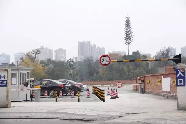 郫县豆瓣现状,郫县豆瓣有什么特别之处