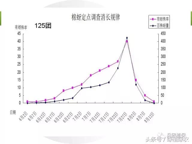 棉蚜治理,棉蚜严重怎么治