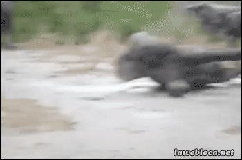 捡肥皂用怎样的姿势才能避免被好基友掰弯？