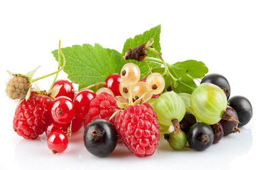 节食减肥后复食反弹太多怎么办,节食之后怎么防止反弹