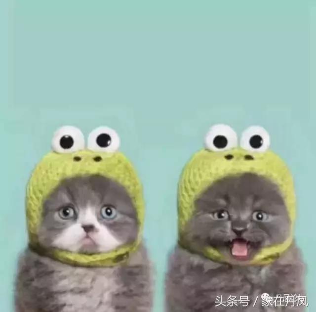 周龙天｜读艾妃的《我为弟弟哭六次》