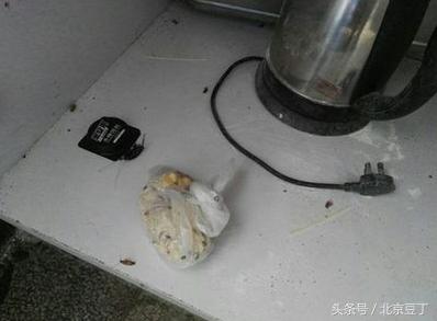 厨房卫生间用什么能消灭蟑螂,厨房间用什么方法消灭蟑螂最有效