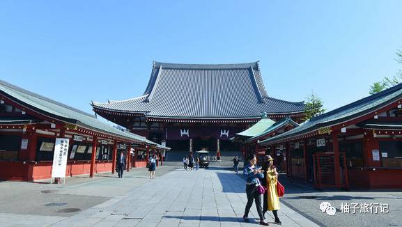 樱花旅行记全集视频,樱花季日本14天旅游攻略