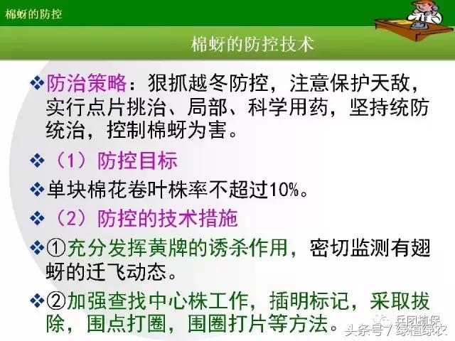 棉蚜治理,棉蚜严重怎么治