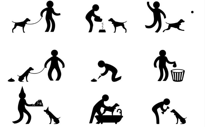 养狗之前请认真把这篇文章看完!